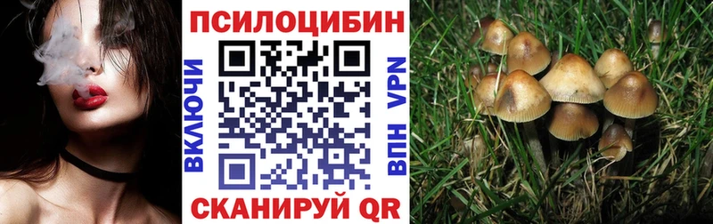 Псилоцибиновые грибы GOLDEN TEACHER  гидра ONION  Туран 